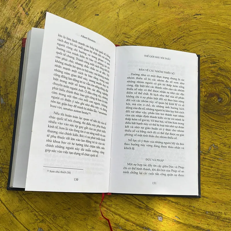 THẾ GIỚI NHƯ TÔI THẤY- BÌA CỨNG-ALBERT EINSTEIN  588970