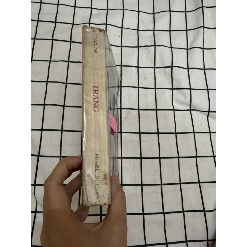 Trang ( tiểu thuyết ) 596997