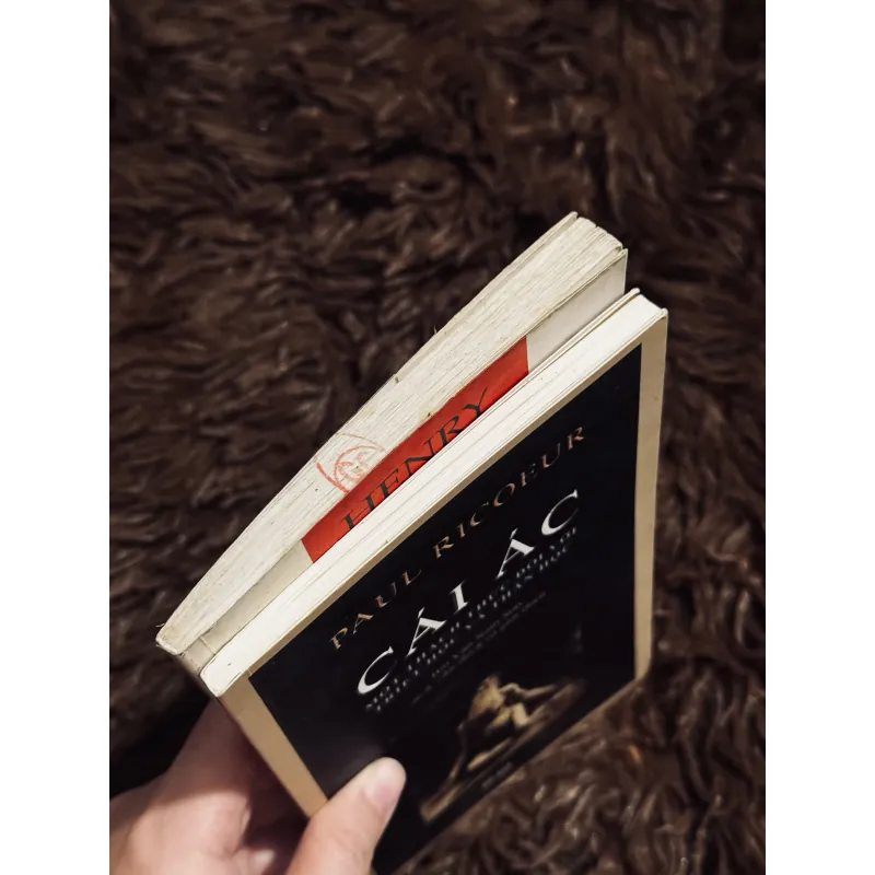 Combo ác quỷ trên thiên đàng + cái ác  996684