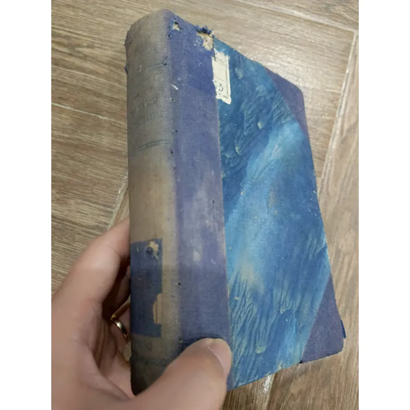 Đại cương lịch sử chính trị châu Mỹ 990564