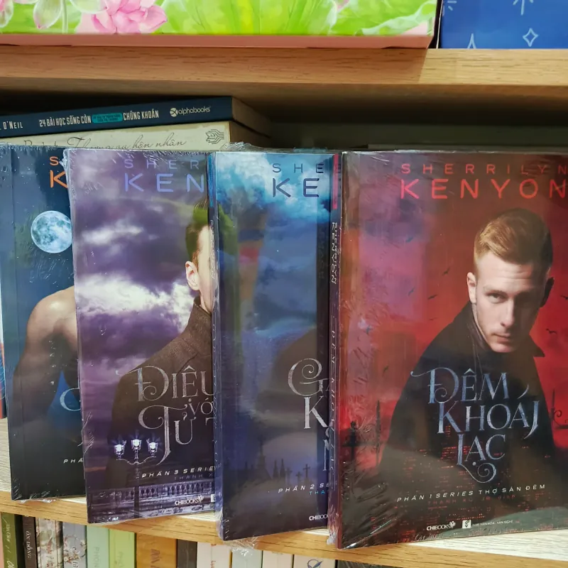[Combo 4 Cuốn] Series Thợ Săn Đêm (Phần 1, 2, 3, 4) - Sherrilyn Kenyon - Like New 996531