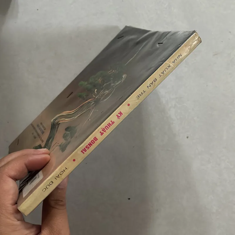 Kỹ thuật Bonsai - Hoài Đức 720789