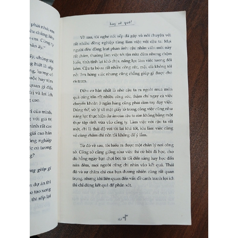 Ở lại thành phố hay về quê?<br>Mèo Maverick 539471