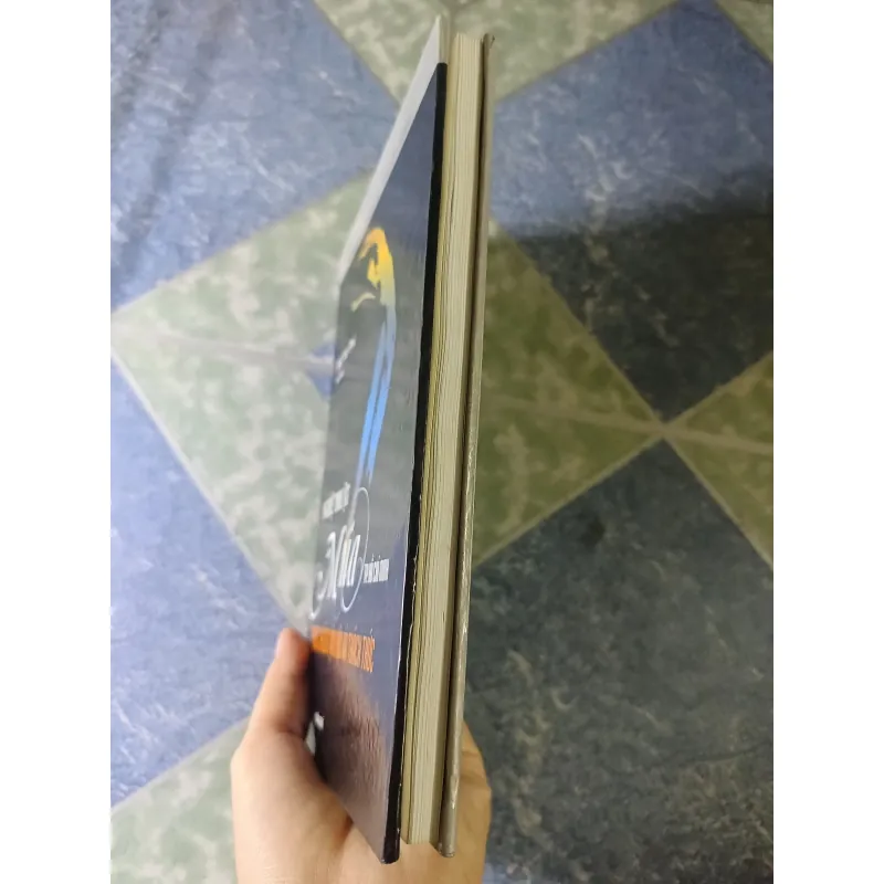 Nghệ thuật múa thành phố Hồ Chí Minh trước những vận hội và thách thức - Trần Phú 746675