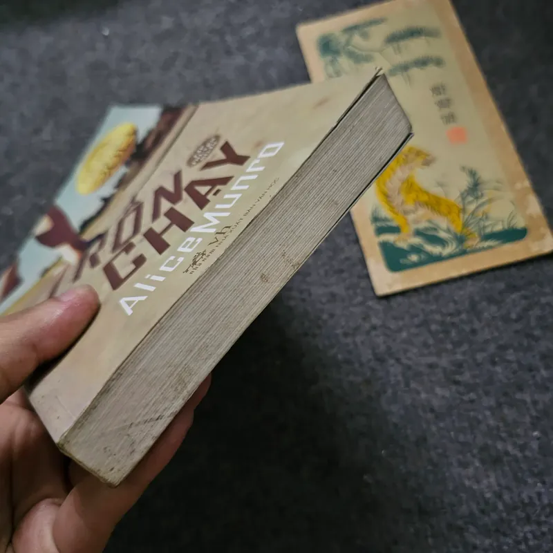 Trốn chạy - Alice Munro 733925