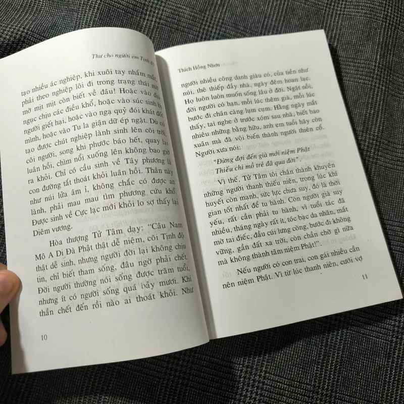 Thư Cho Người Em Tịnh Độ - Thích Hồng Nhơn 697709