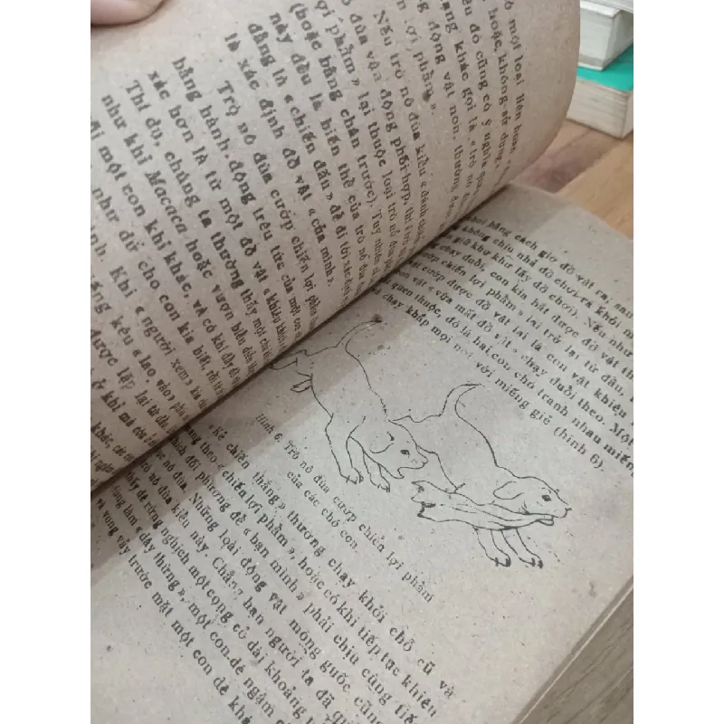 Động vật thích đùa - K. E. Phabri 705206