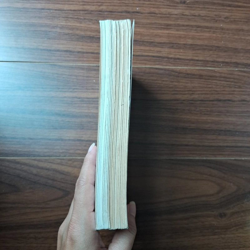 Bãi biển cây cọ 505905