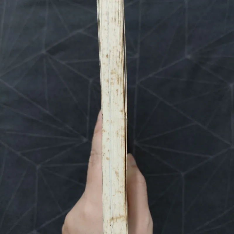 "Quá trẻ để chết: Hành trình nước Mỹ" - Đinh Hằng 1019926