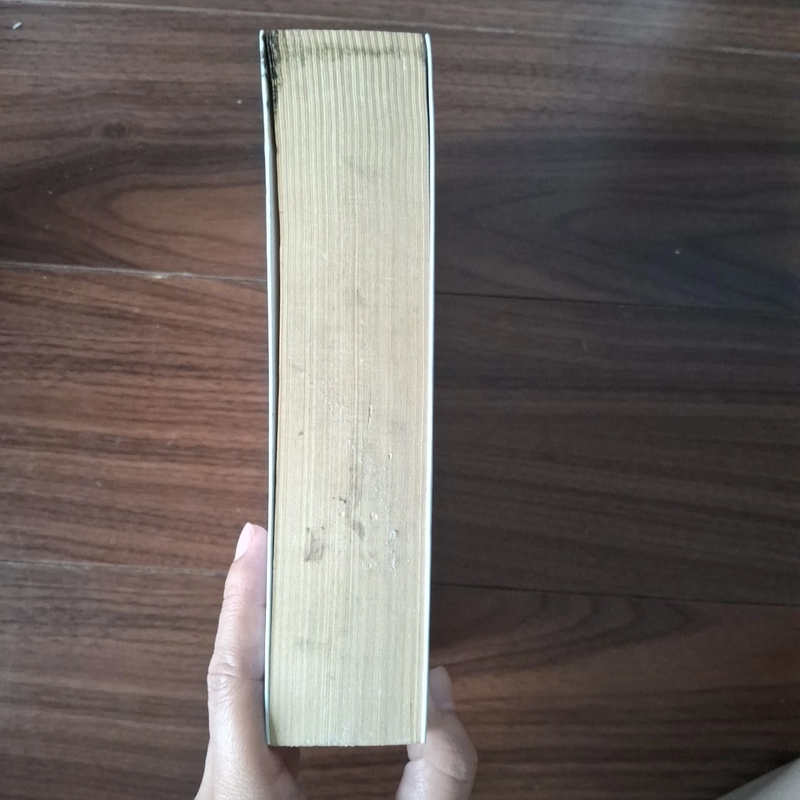 Gió mag kí ức thổi thành những cánh hoa 510009