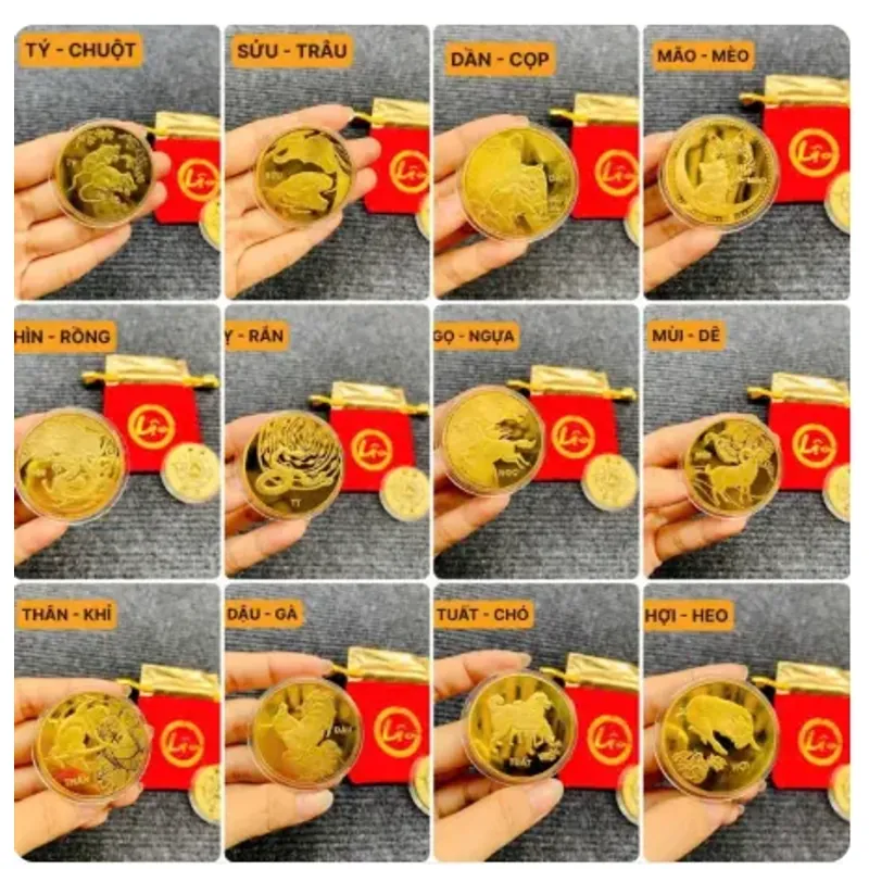 Móc Khóa Đồng Xu Con Hợi Mạ Vàng Treo Oto, Xe Máy Phong Thủy 1013699