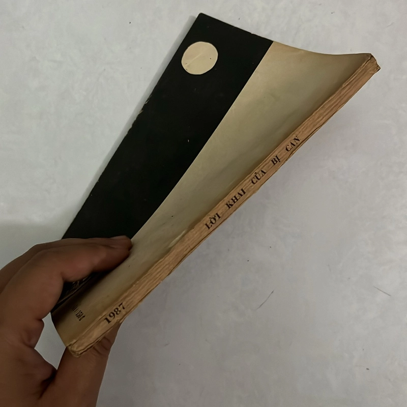 Lời khai của bị can — 1987s 498704