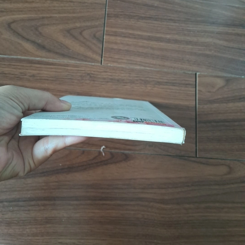 Nếu thanh xuân không giữ lại được 508597