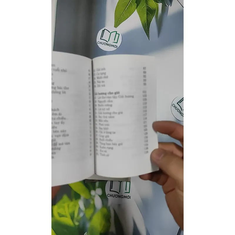 Combo Thơ Hồ Xuân Hương, Xuân Quỳnh, Xuân Diệu 798495