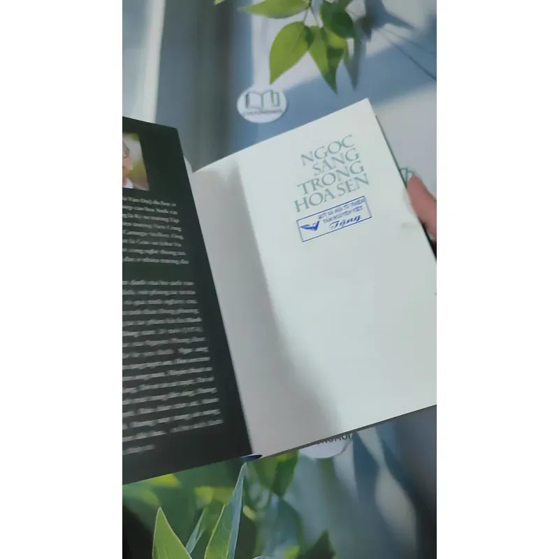 Ngọc Sáng Trong Hoa Sen - Nguyên Phong 961181