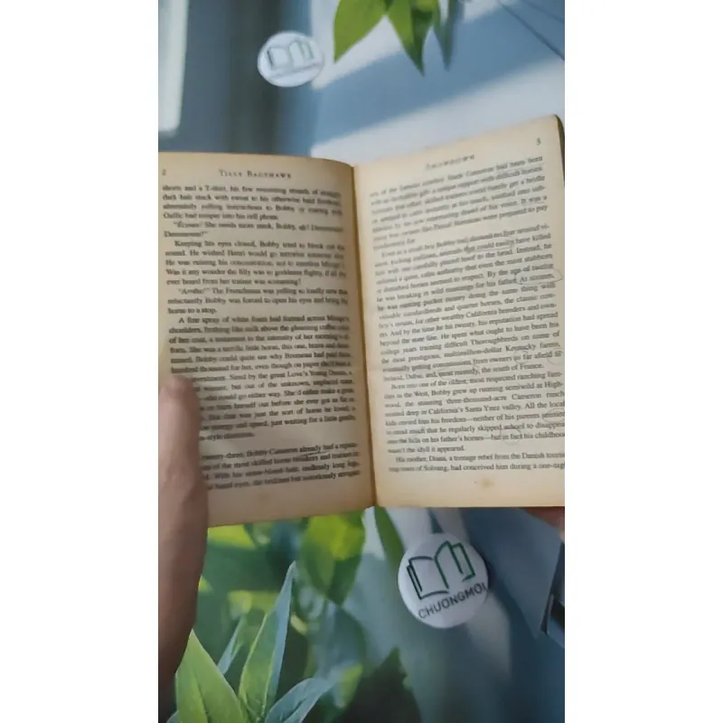 Showdown - Tilly Bagshawe 1027176