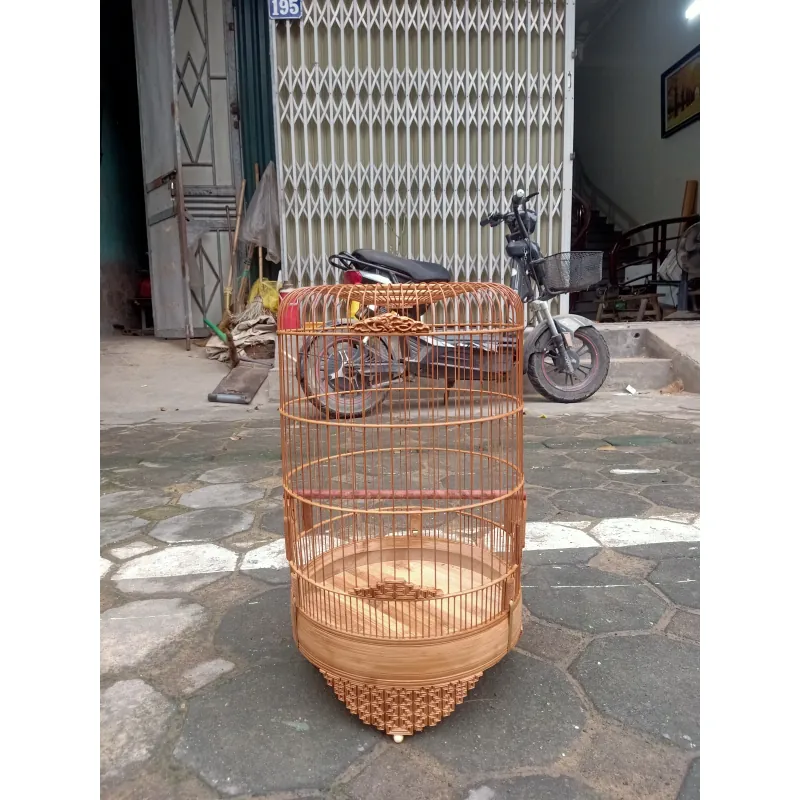 lồng yến. tiểu mi. chòe đất  1027644