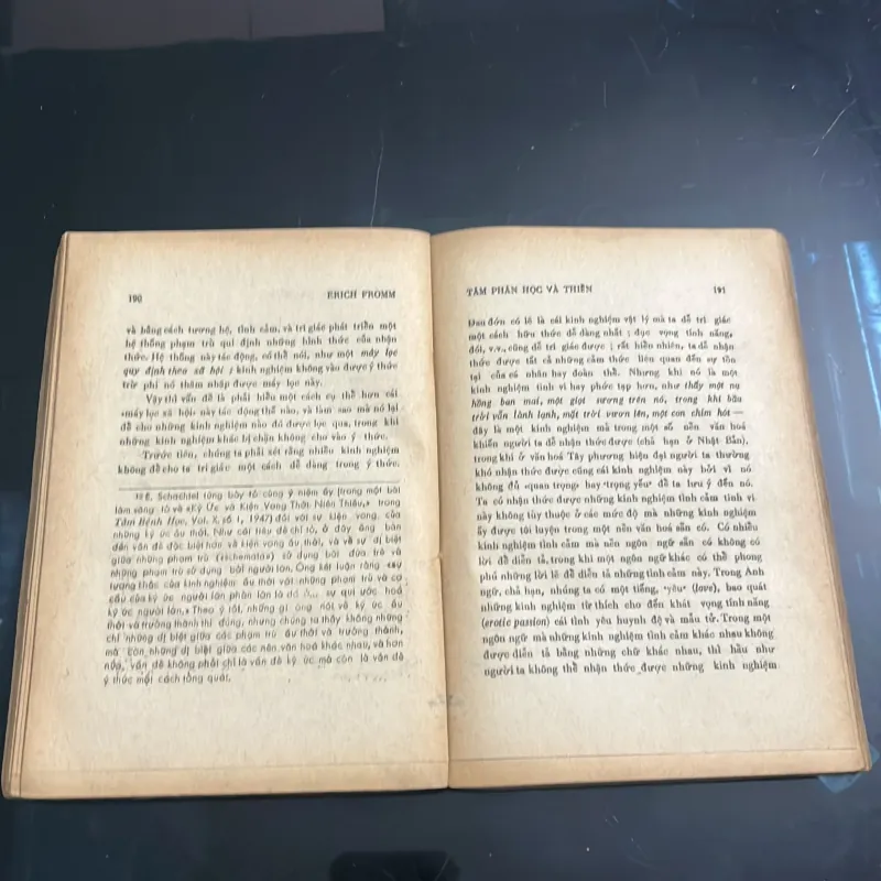 Thiền và phân tâm học 1005109