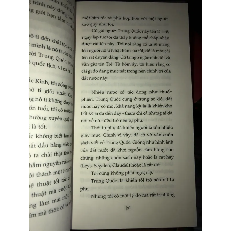 Huỷ hoại vì yêu - Amélie Nothomb  993823