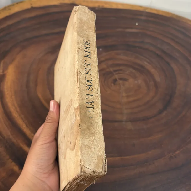 II Sức Khoẻ: Chăm Sóc Sức Khoẻ - DAVID WERNER - 1983 1010438