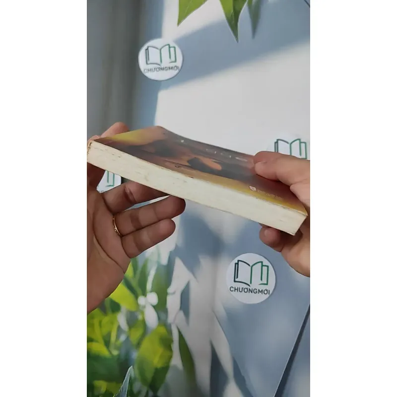 Blogger - Phong Điệp 798352