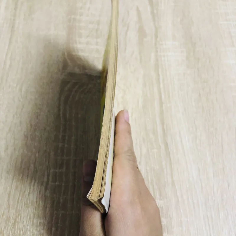 THÁI CỰC KHÍ CÔNG ( Hải Ân) 1011253