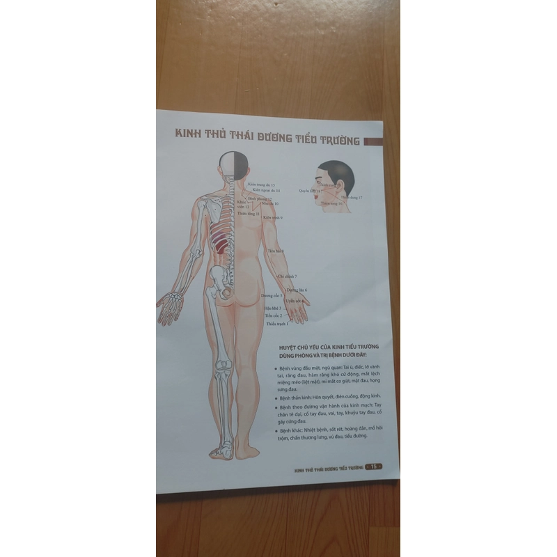 KINH LẠC HUYỆT VỊ  502885