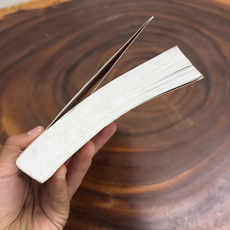 II Văn Học Kinh Điển: Những Con Chim Ẩn Mình Chờ Chết - COLLEEN Mc CULLOUGH - 2012 977224