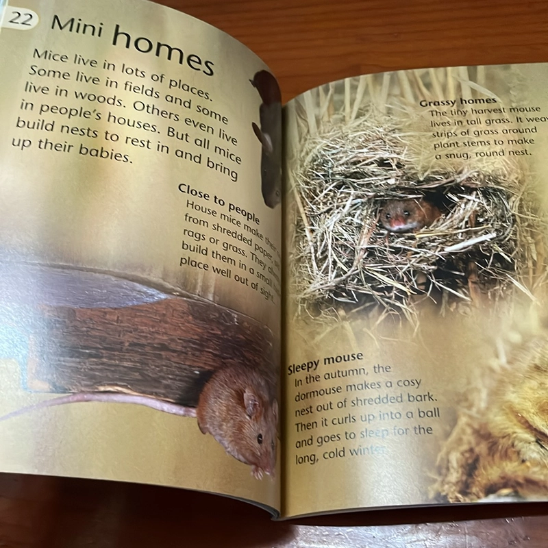 PICTURE BOOK Animal homes 536499