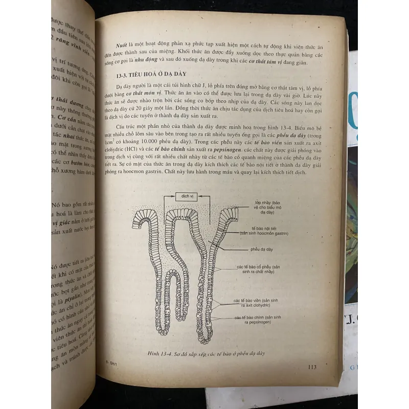 Sinh học (trọn bộ 1 tập)-W.D. Phillips và T.J. Chilton.  1032487