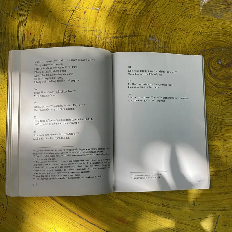 COMBO STORIES OF THE NGUYỄN DYNASTY’S KINGS & CA DAO  VIỆT NAM - I CA DAO DEL VIETNAM 735790