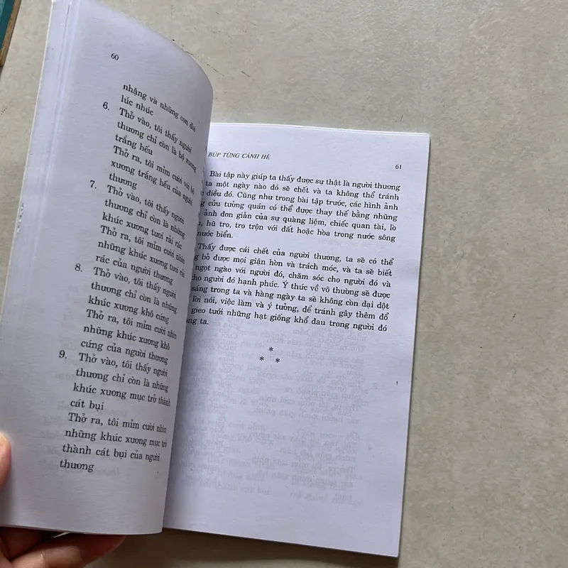 Sen búp từng cành bé - Nhất Hạnh 624037