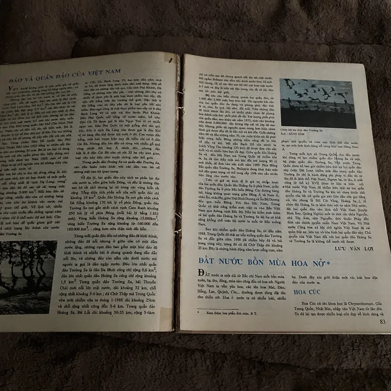 Văn hóa Việt Nam tổng hợp 1989, 1995 674745