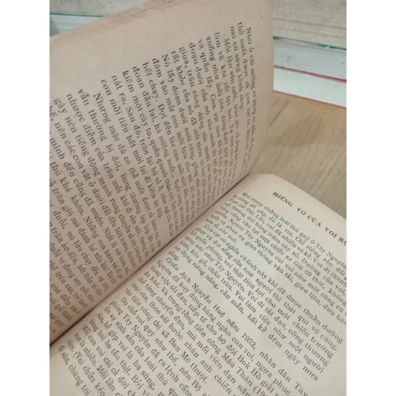 Thú rừng tây nguyên - Thiên Lương 496488