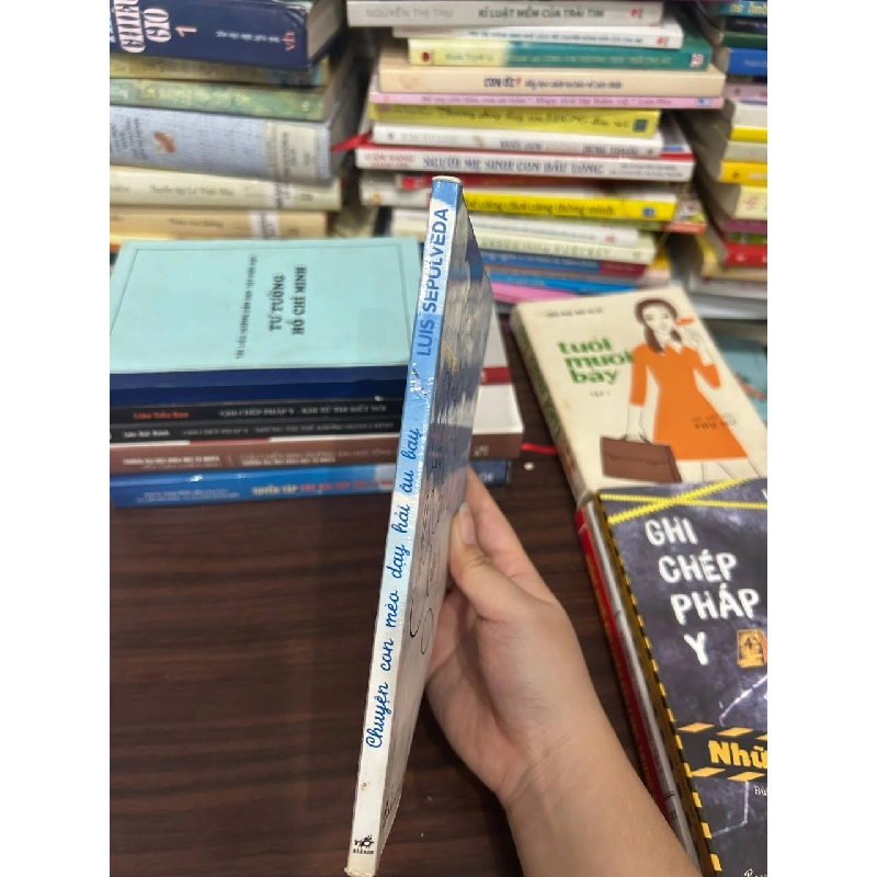 Chuyện Con Mèo Dạy Hải Âu Bay - Luis Sepúlveda 1027351