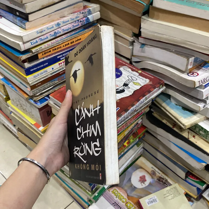 Cánh Chim Rừng Không Mỏi♟️ 739858