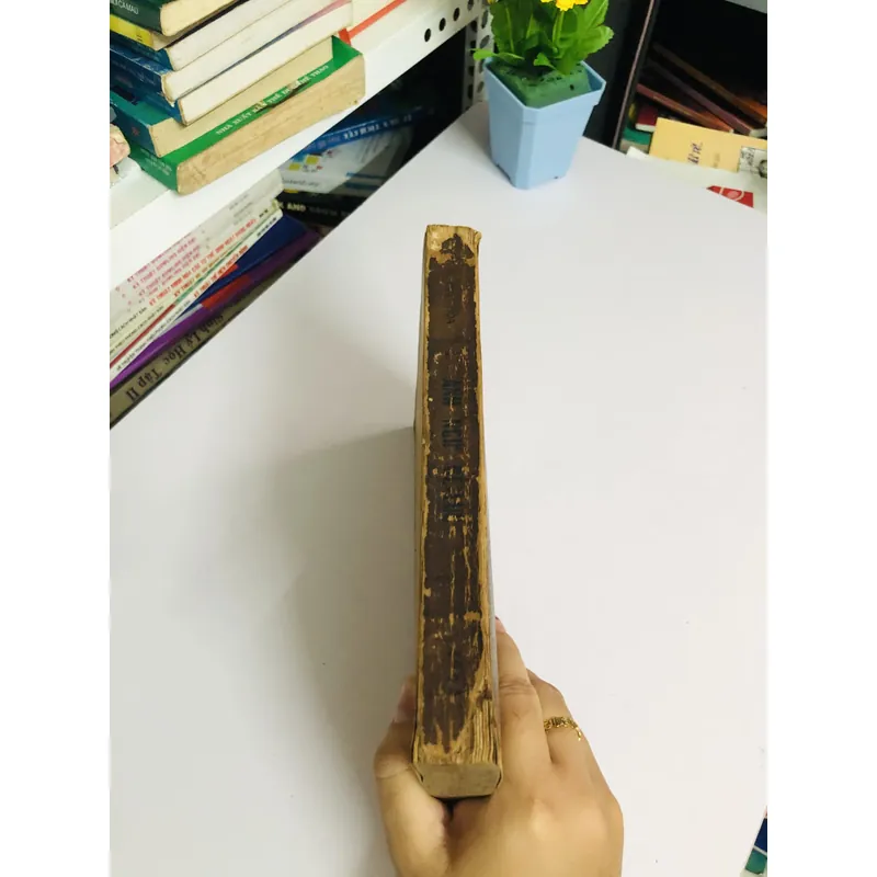 3. 📘 ANH - NGỮ ĐỆ LỤC 2 ✍️ Tác giả: Nguyễn Đình Hòa 1966 604246