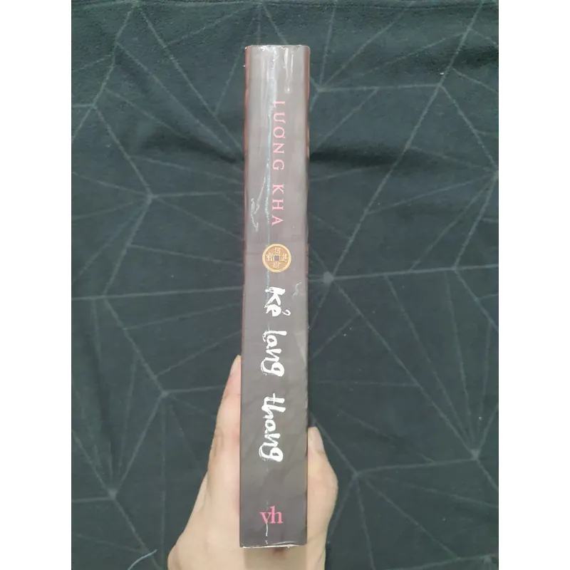 "Kẻ lang thang" - Lương Kha 557116