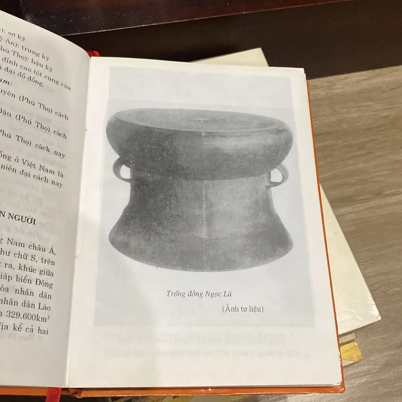 TÓM TẮT NIÊN BIỂU LỊCH SỬ VIỆT NAM, bản bìa cứng (XB 2004) 606522