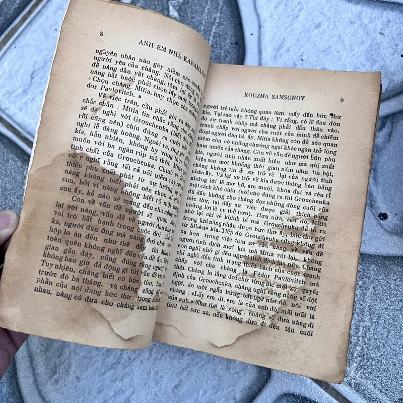 Anh em nhà karamazov - Trương Đình Cử (1972) 752773