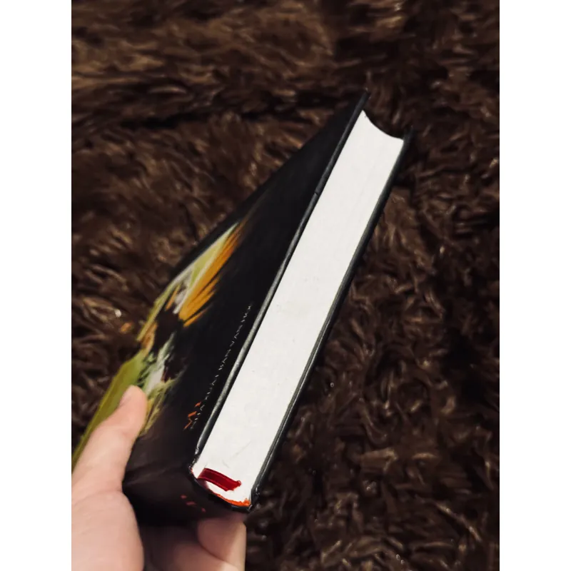 Bà Bovary (bìa cứng) 737310