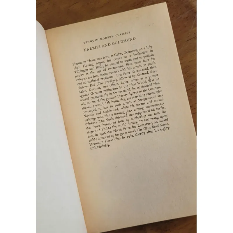 Sách ngoại văn Narziss and Goldmund - Herman Hesse 1031987