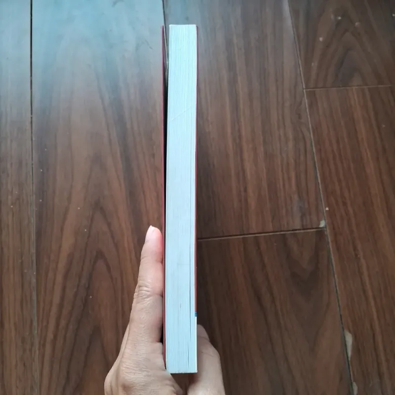 Hồ cẩm đào - con đường phía trước 593244