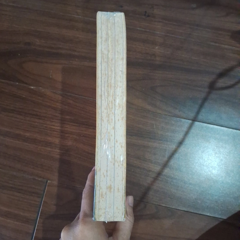 Xuyên mỹ - phan việt 510133