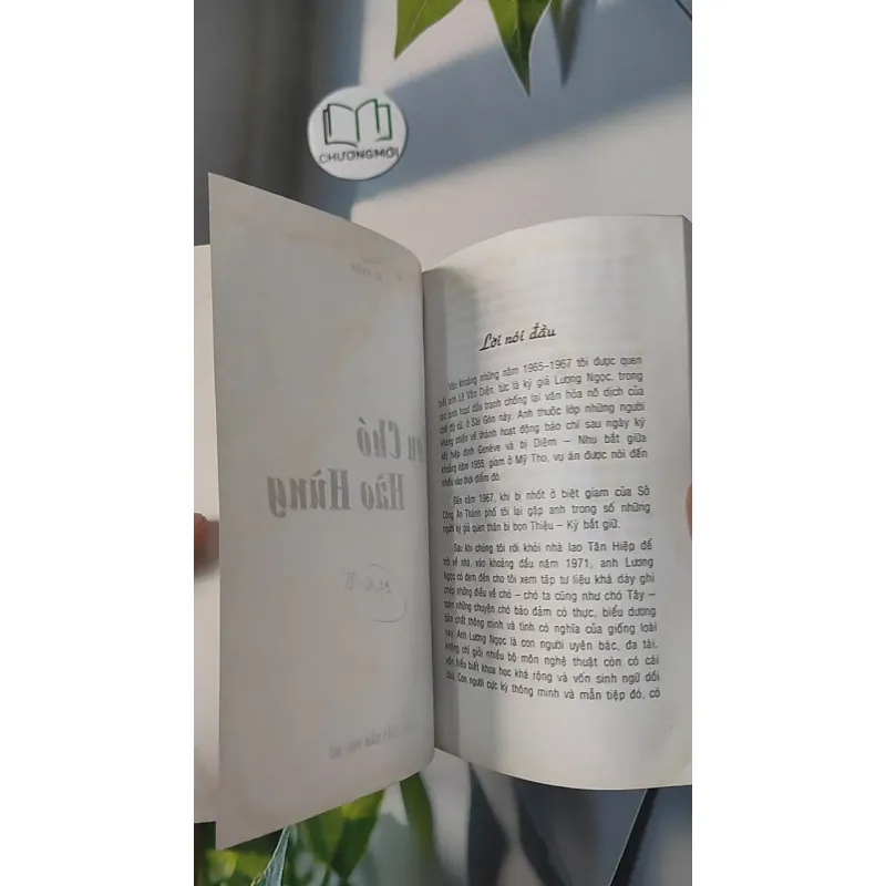 Con Chó Hào Hùng - Vũ Hạnh 798316