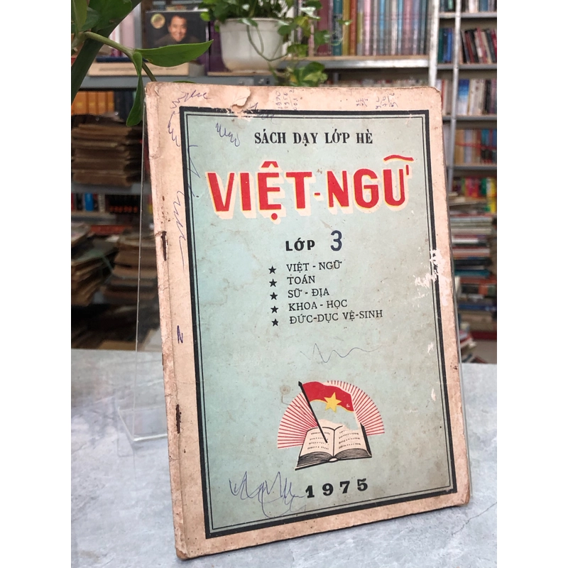 SÁCH DẠY LỚP HÈ: VIỆT-NGỮ LỚP 3 363070