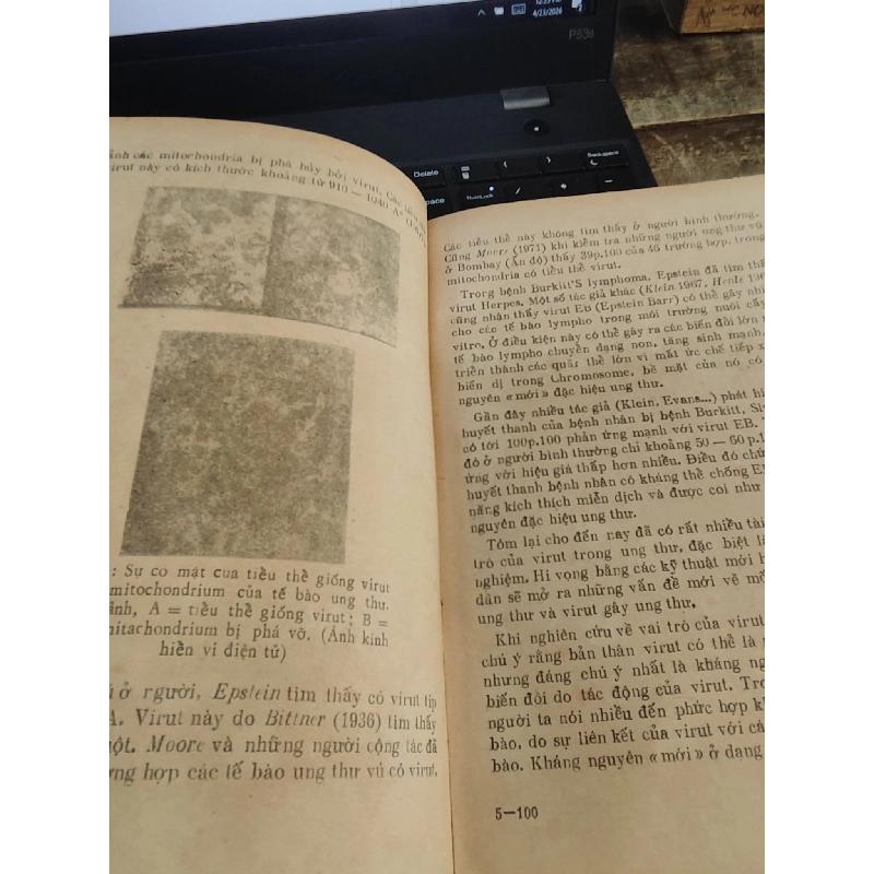 Miễn dịch trung gian tế bào - Đỗ Trung Phấn 1026941