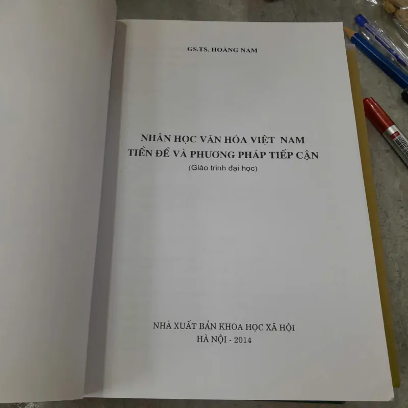 NHÂN HỌC VĂN HÓA VIỆT NAM - HOÀNG NAM 1022180