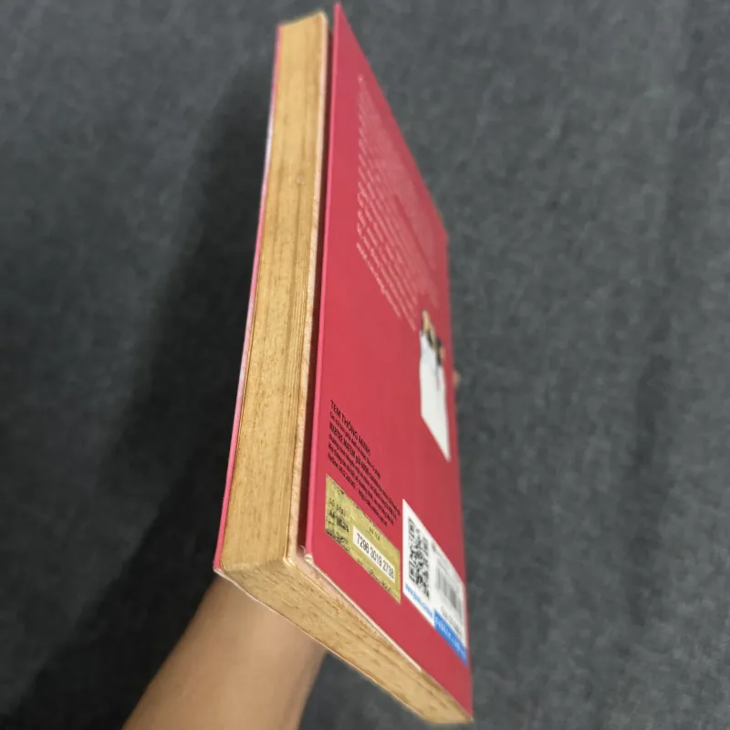 Những cô em gái - Nguyễn Nhật Ánh 1023191