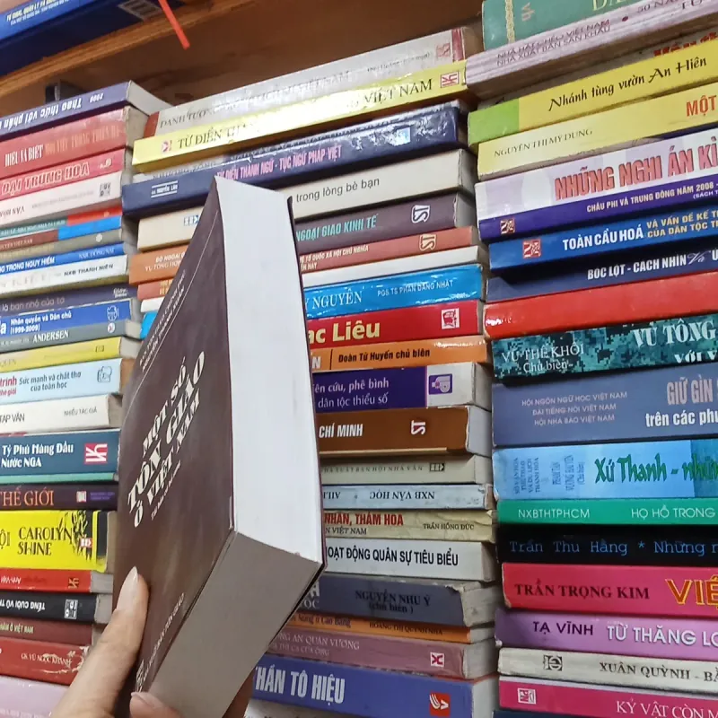 Một số tôn giáo ở Việt Nam - Nguyễn Thanh Xuân  958064